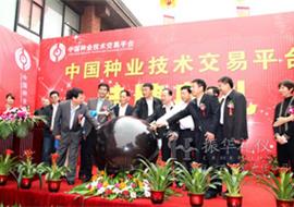 中国种业技术交易平台挂牌典礼